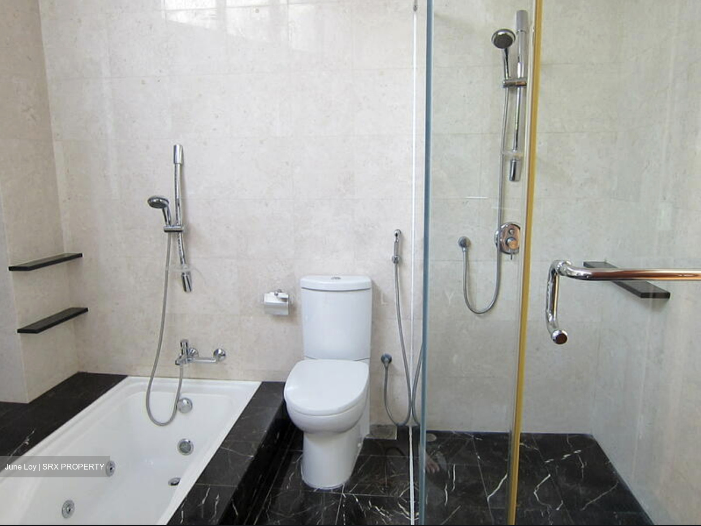 Dunearn Road (D11), Condominium #631465411